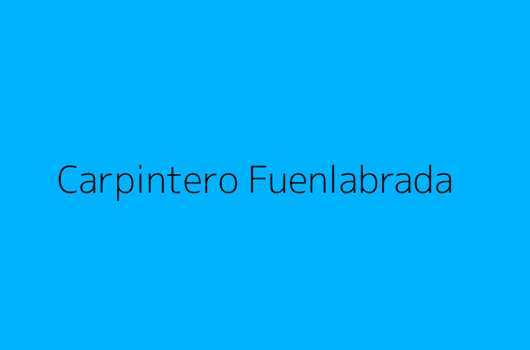Carpintero Fuenlabrada